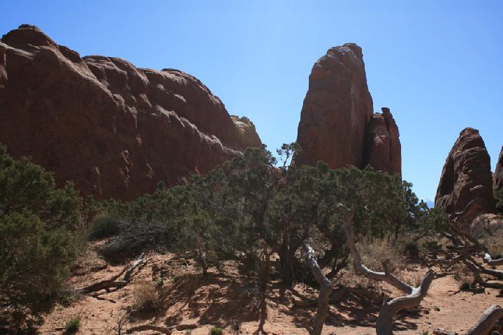 10-Arches 0074.JPG